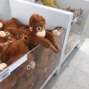 Meet your Posher, Moises